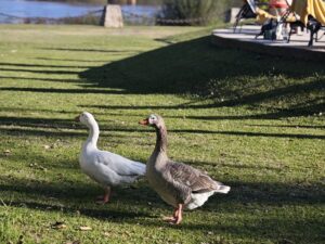 Hotel Naturaleza Gualeguaychú